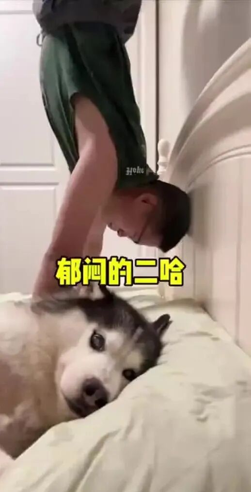 Word文档图片