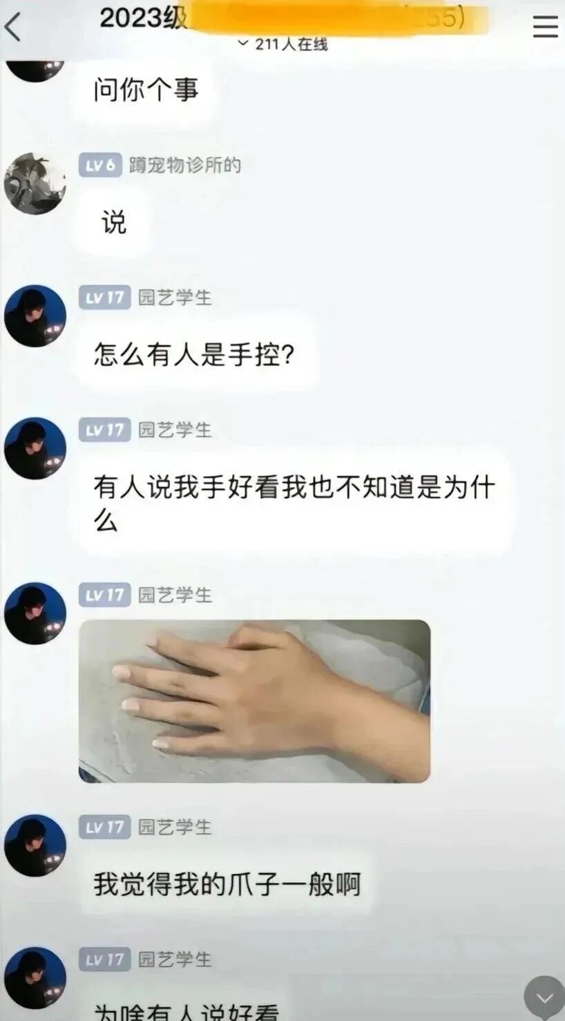 Word文档图片