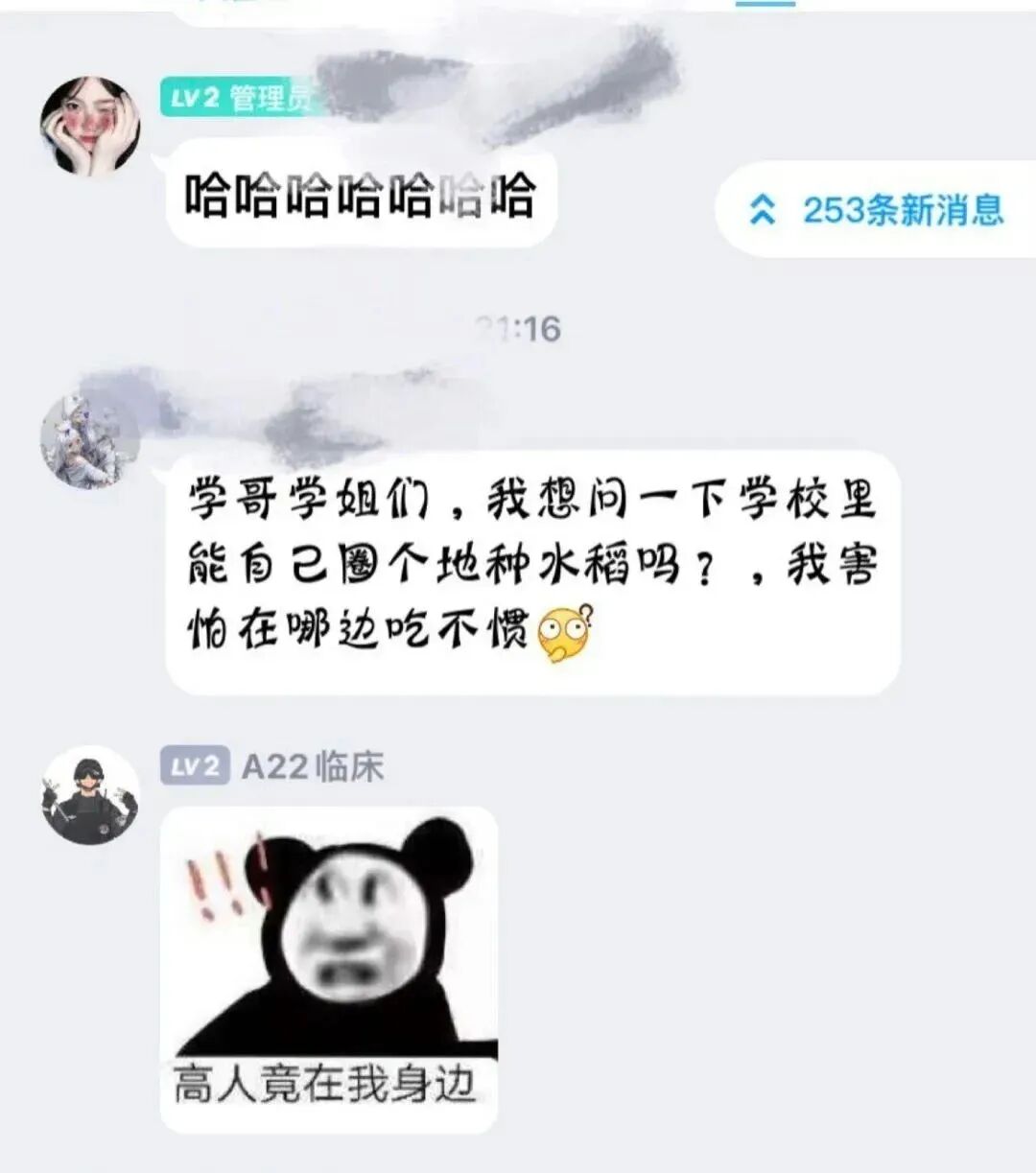 Word文档图片