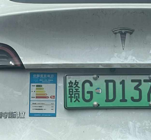 Word文档图片
