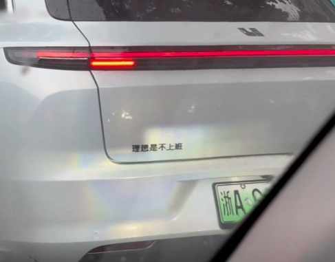 Word文档图片