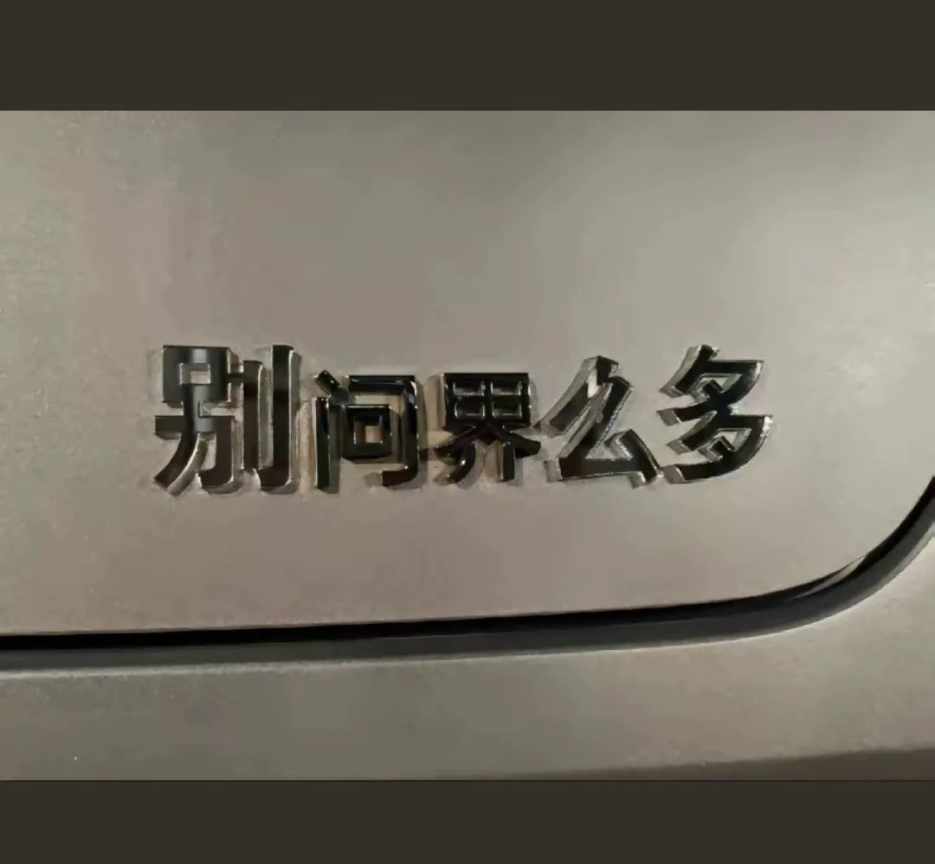 Word文档图片