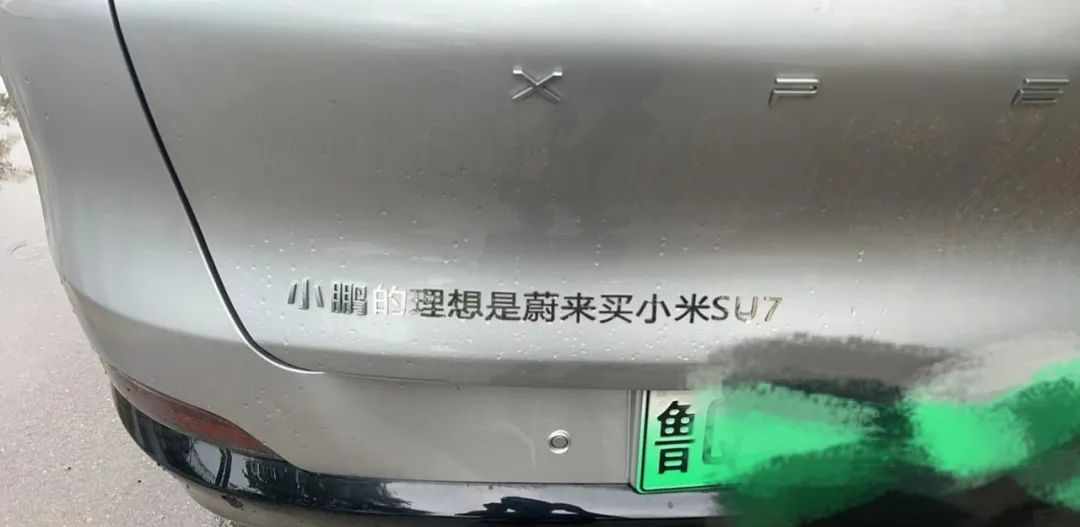 Word文档图片