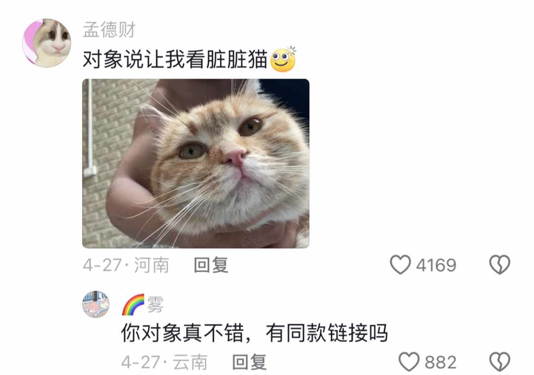 Word文档图片