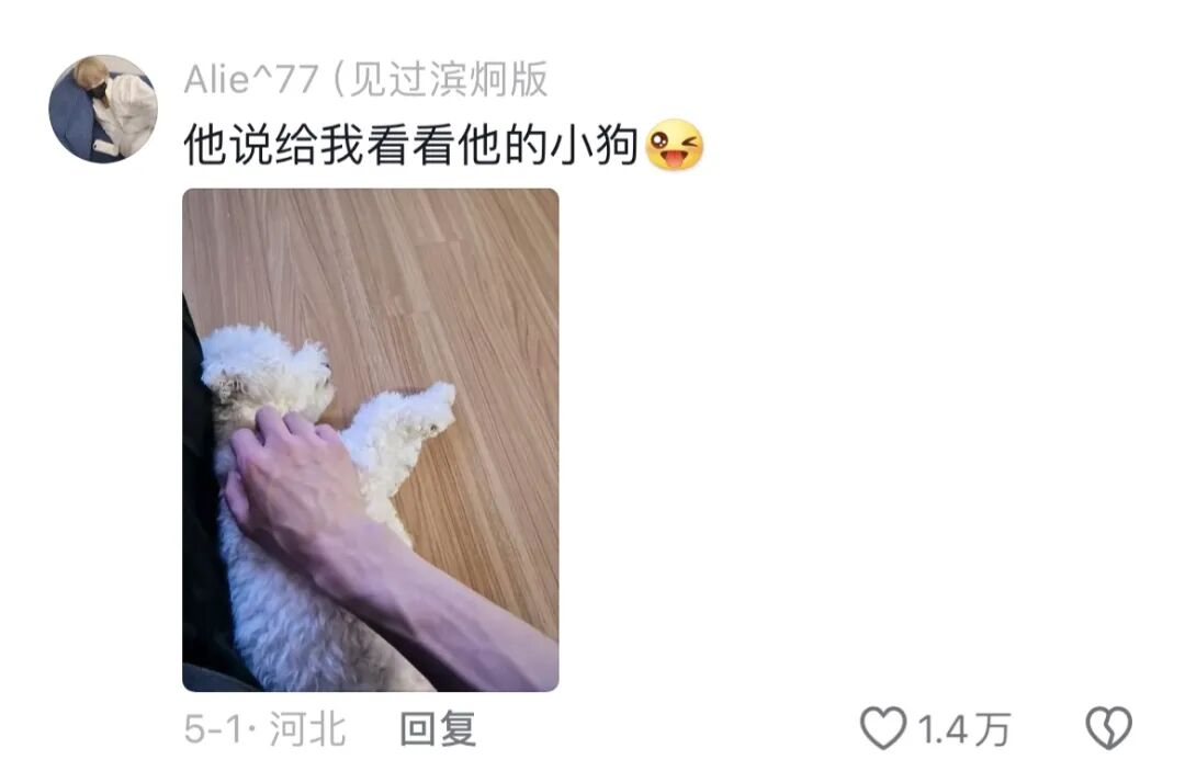 Word文档图片