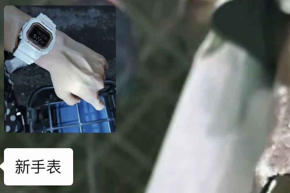 Word文档图片