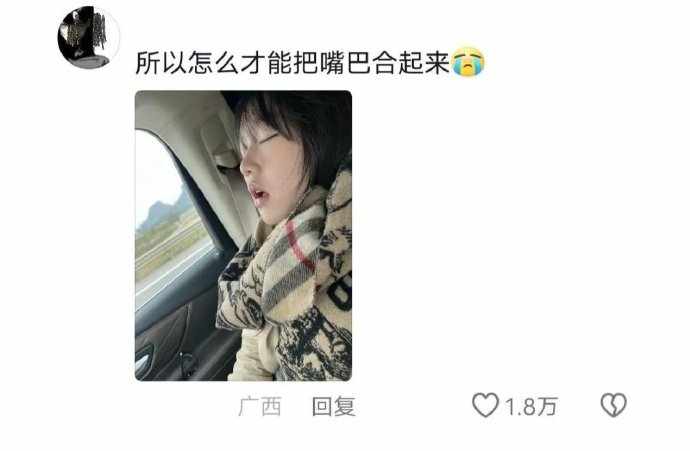 Word文档图片
