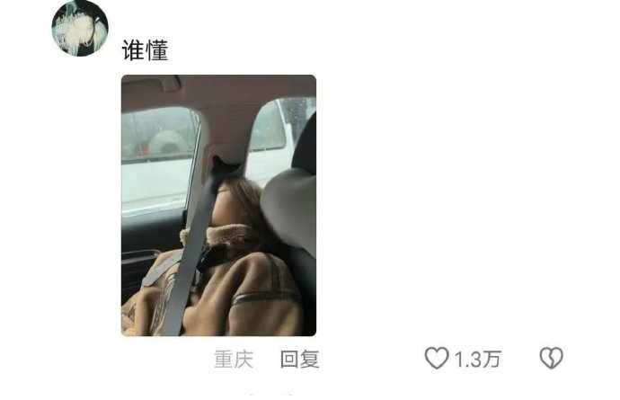 Word文档图片