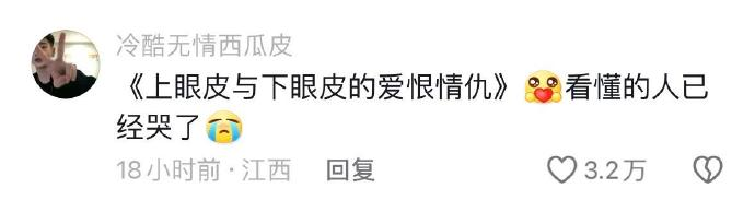 Word文档图片