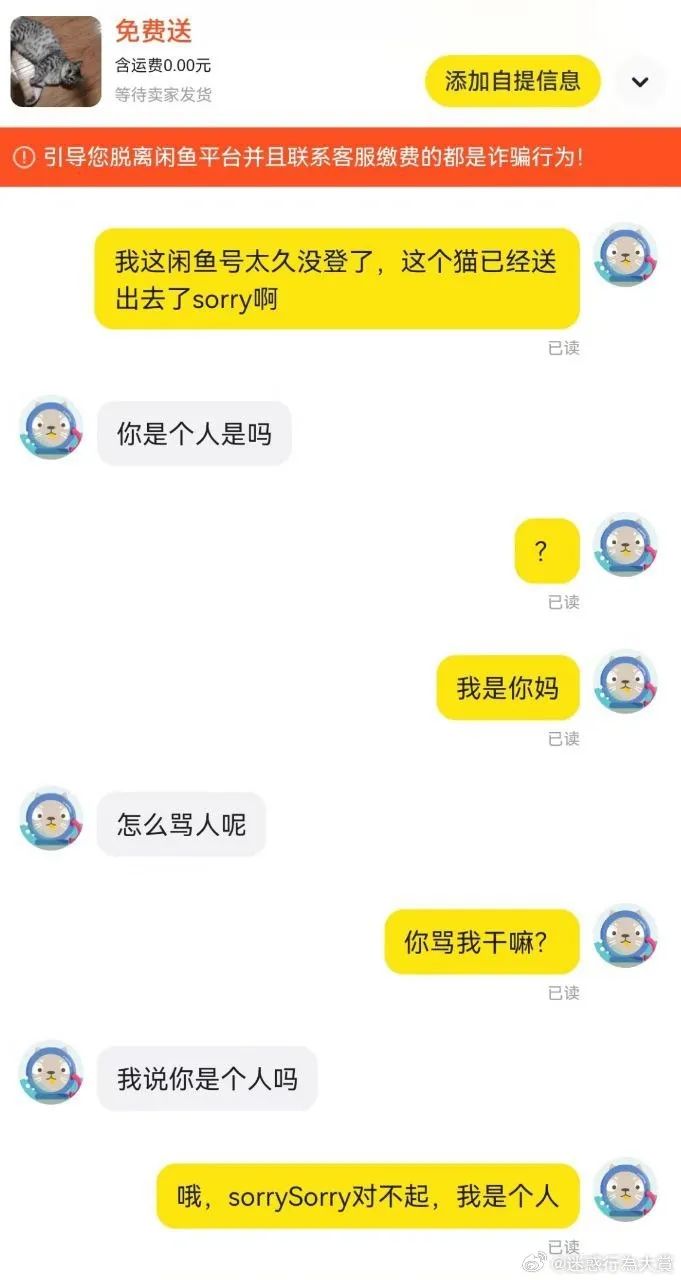 Word文档图片
