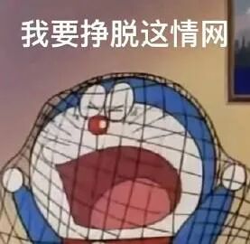Word文档图片