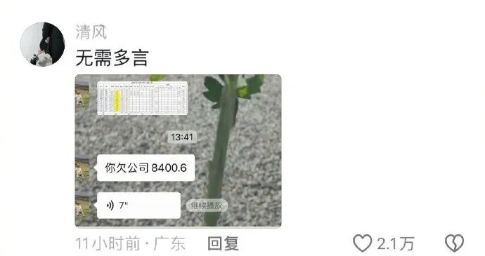 Word文档图片