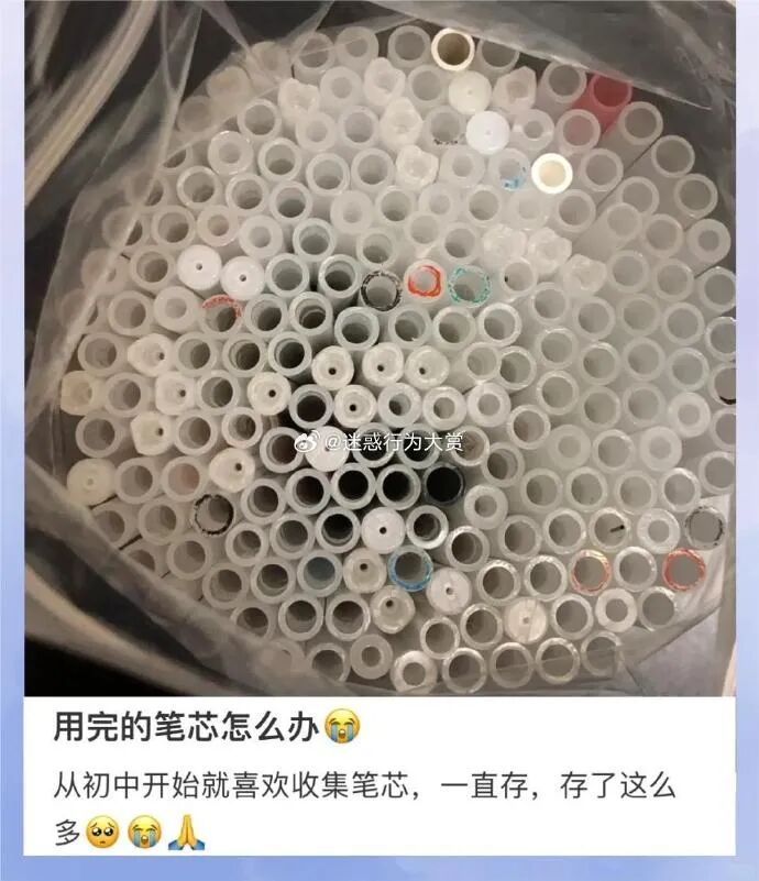 Word文档图片