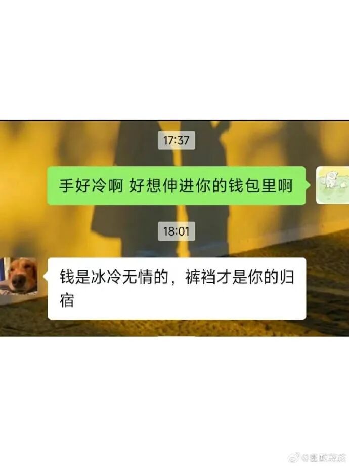 Word文档图片
