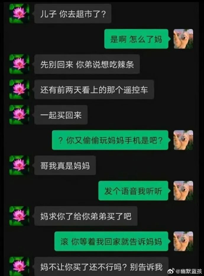 Word文档图片