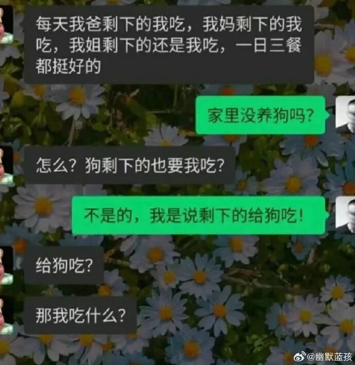 Word文档图片