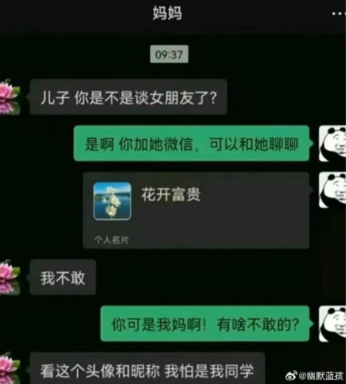 Word文档图片