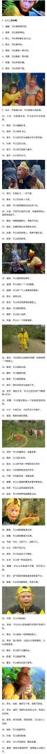 Word文档图片