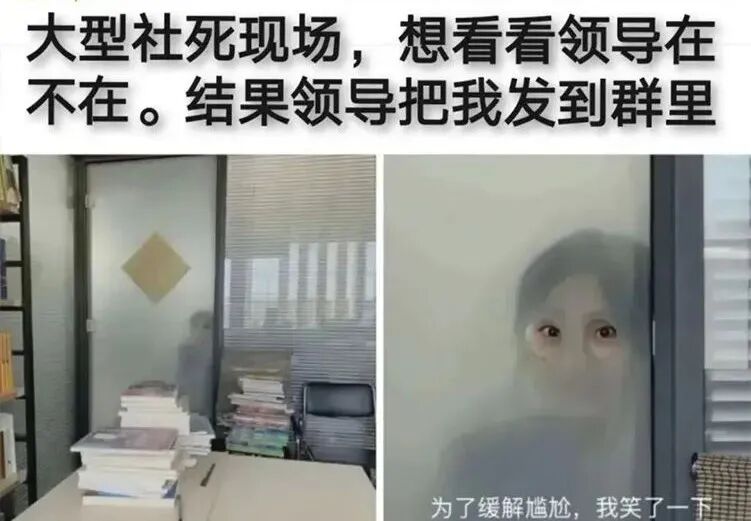Word文档图片