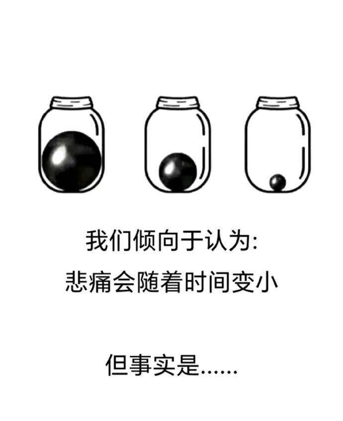 Word文档图片