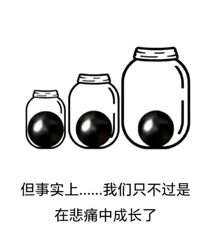 Word文档图片