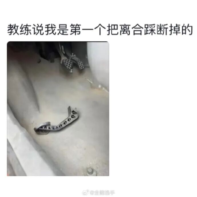 Word文档图片