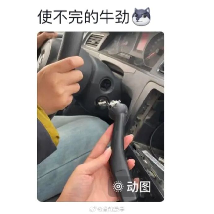 Word文档图片