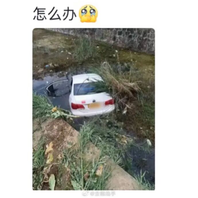 Word文档图片