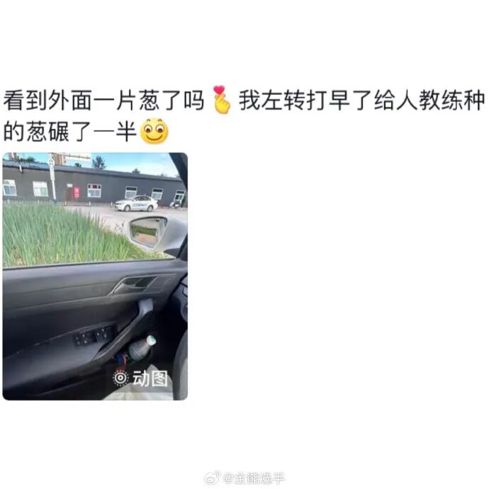 Word文档图片