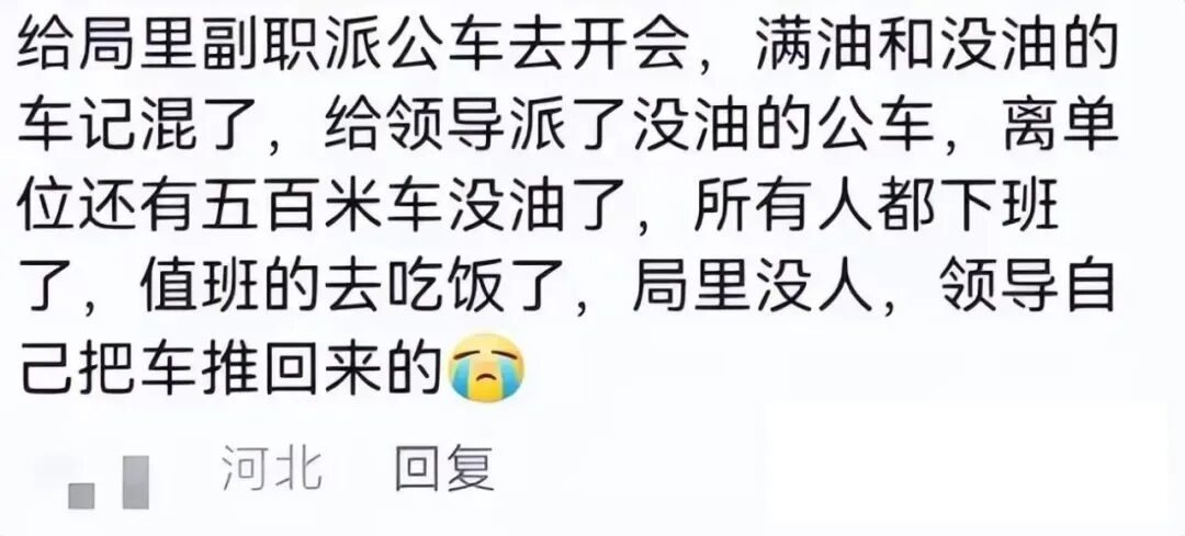 Word文档图片