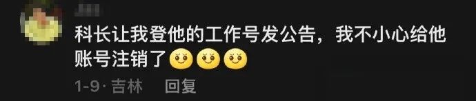 Word文档图片