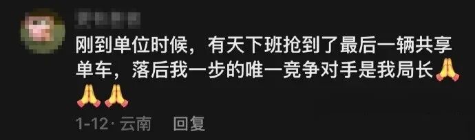Word文档图片