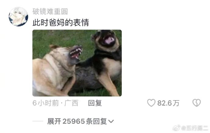 Word文档图片