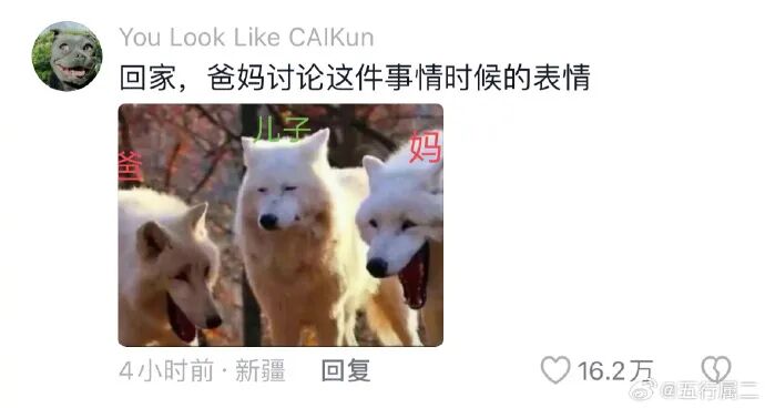 Word文档图片