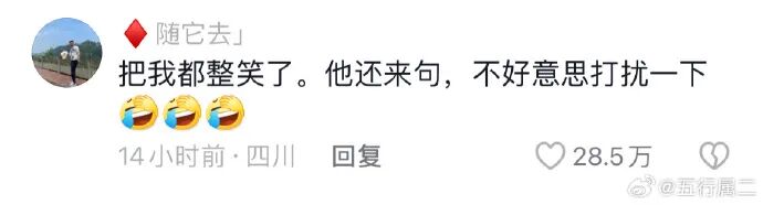 Word文档图片