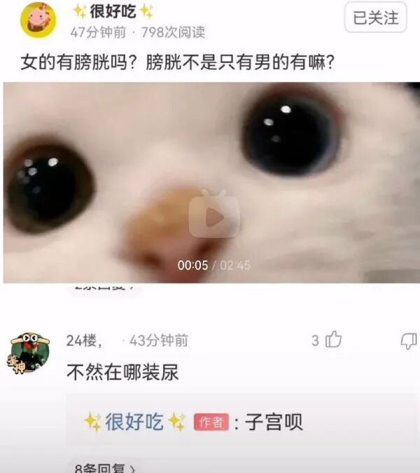 Word文档图片