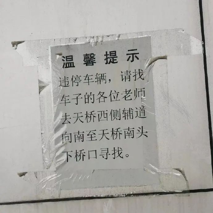 Word文档图片
