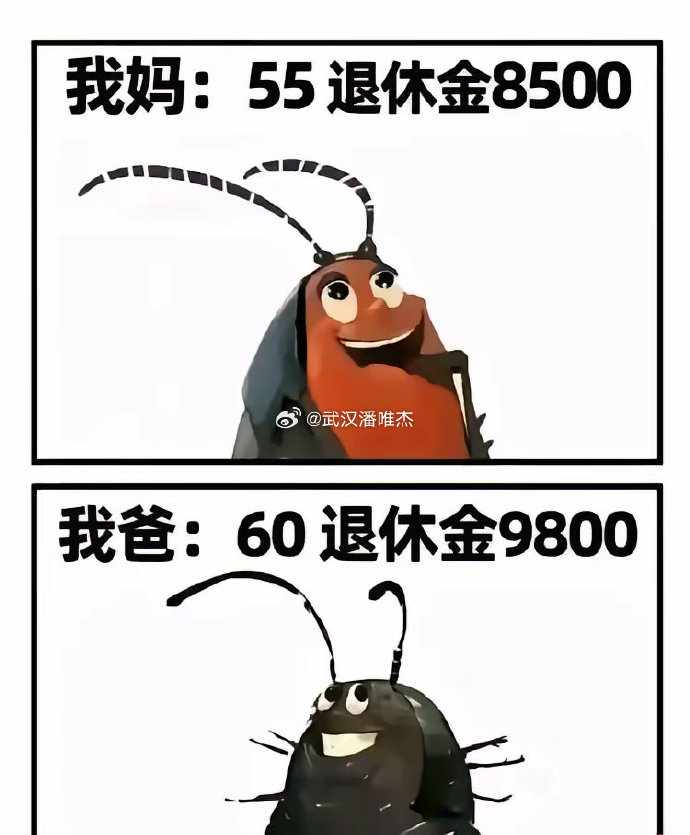 Word文档图片