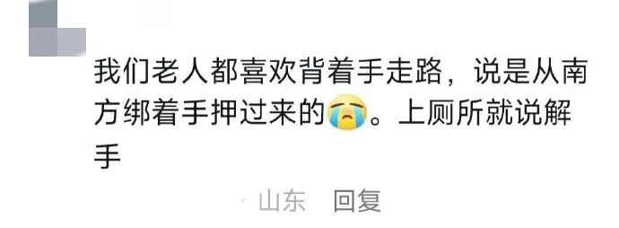 Word文档图片