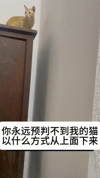 Word文档图片