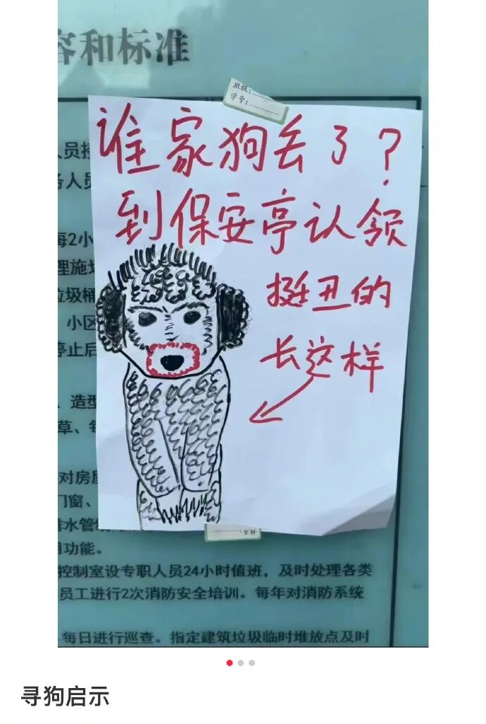 Word文档图片