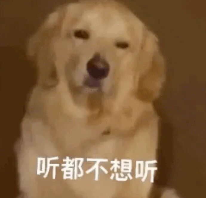 Word文档图片