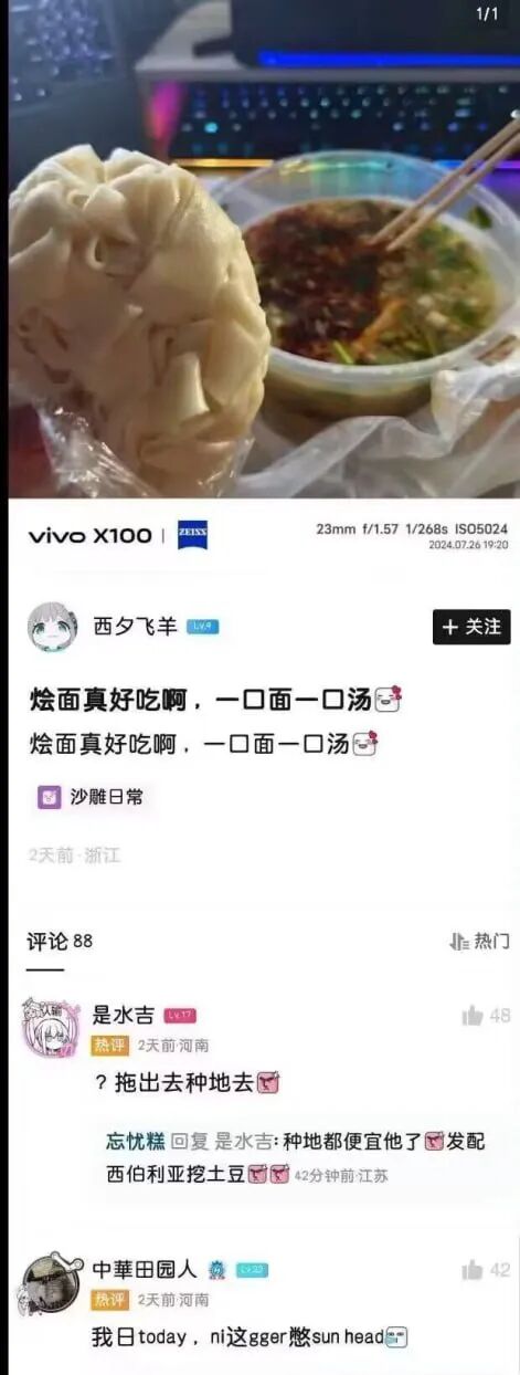 Word文档图片