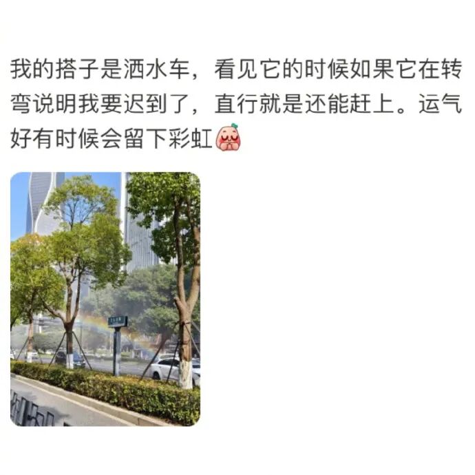 Word文档图片