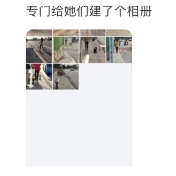 Word文档图片