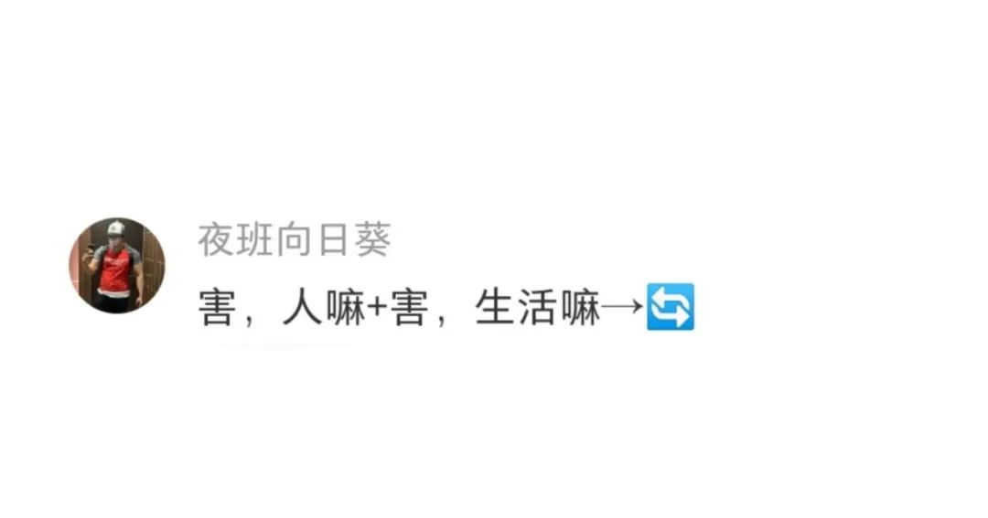 Word文档图片