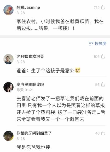Word文档图片