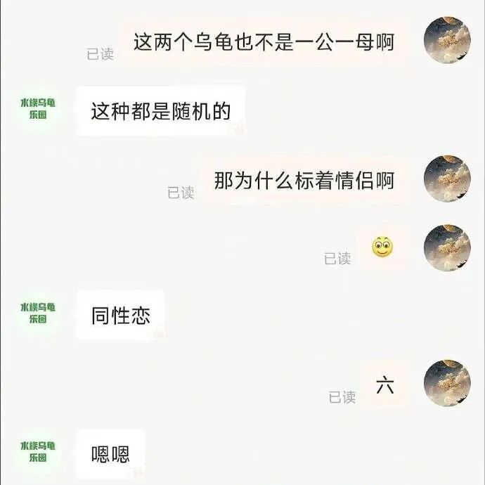 Word文档图片