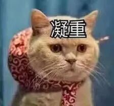 Word文档图片