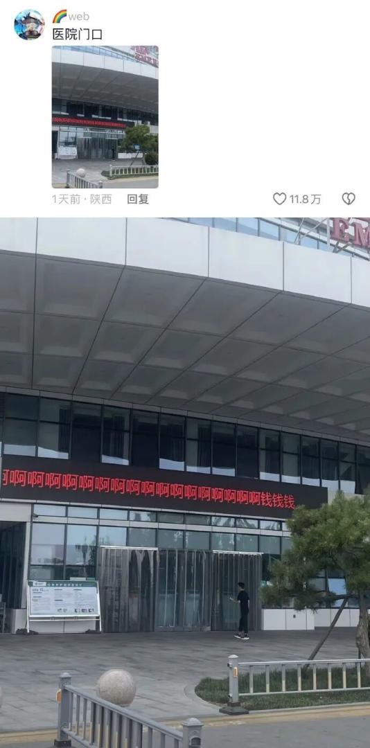 Word文档图片